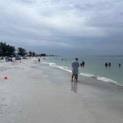 People recreating along the coastal shoreline