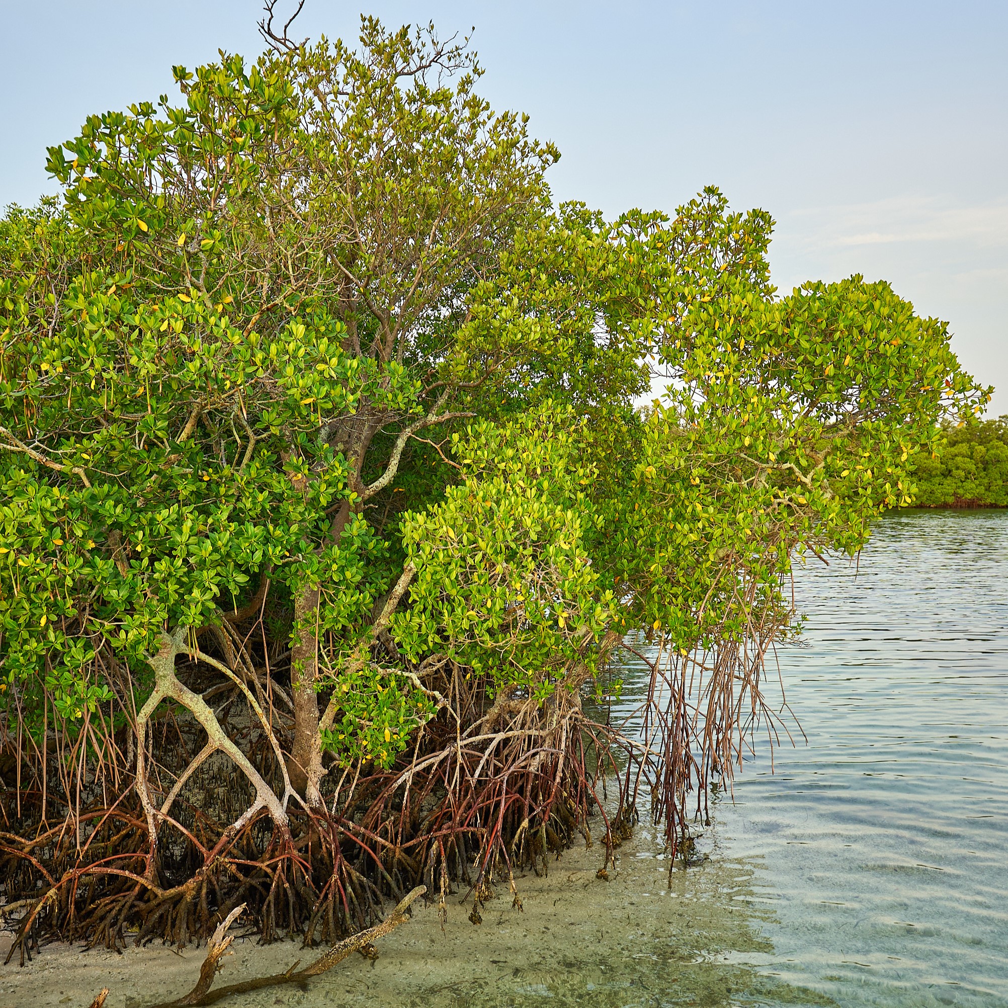 Quick Point Nature Preserve