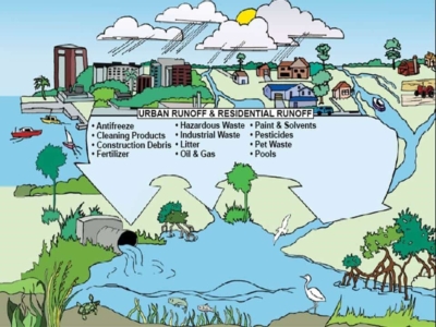 Stormwater Pollution Graphic Drawing showing stormwater pollution sources